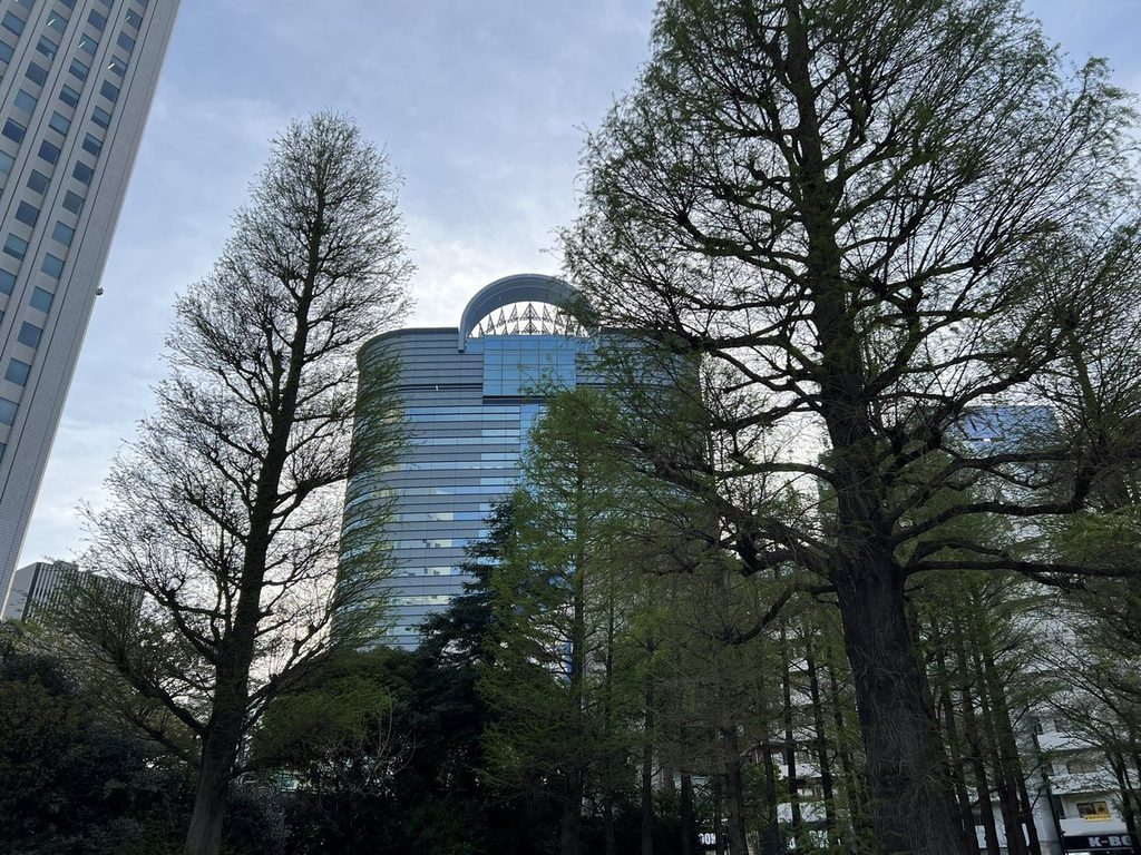 春の東池袋中央公園。木立の向こうに高層ビルが見える
