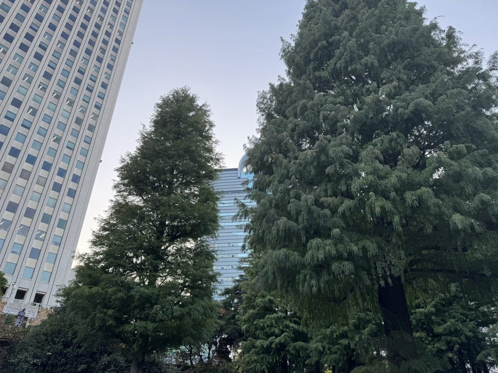 秋の東池袋中央公園。青空と木立