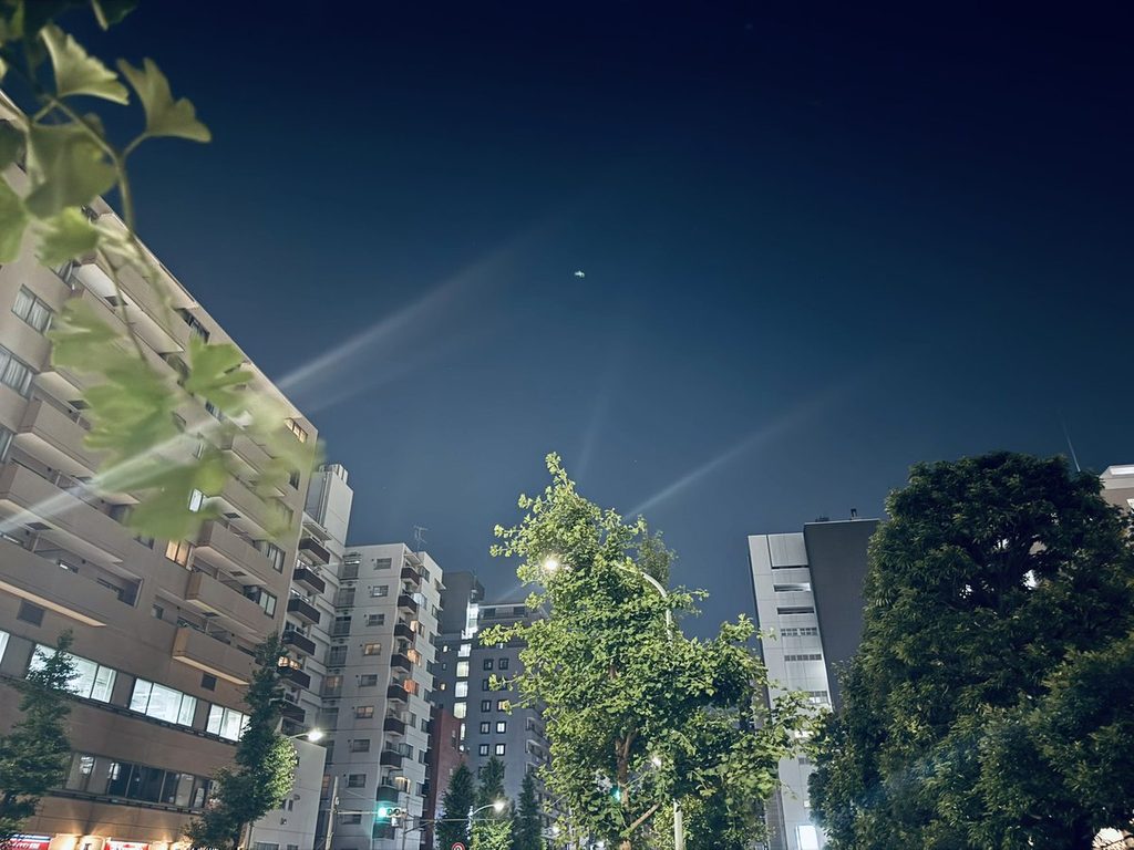 夜の街と木立