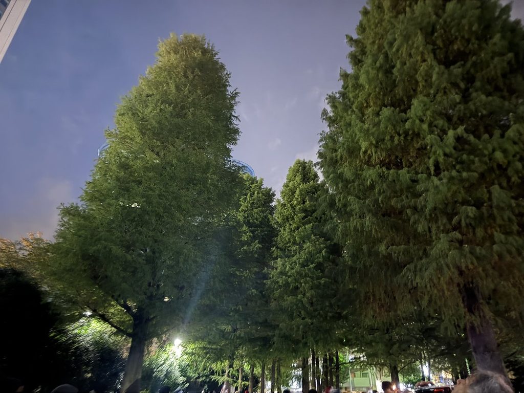 夜の東池袋中央公園。街灯に照らされた木立
