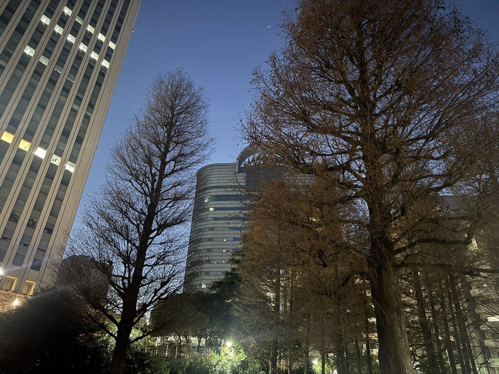 大みそかの夜の東池袋中央公園。木立とビルの明かり
