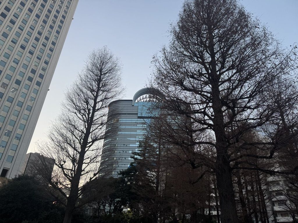 冬枯れの木立の向こうに見える東池袋のビル