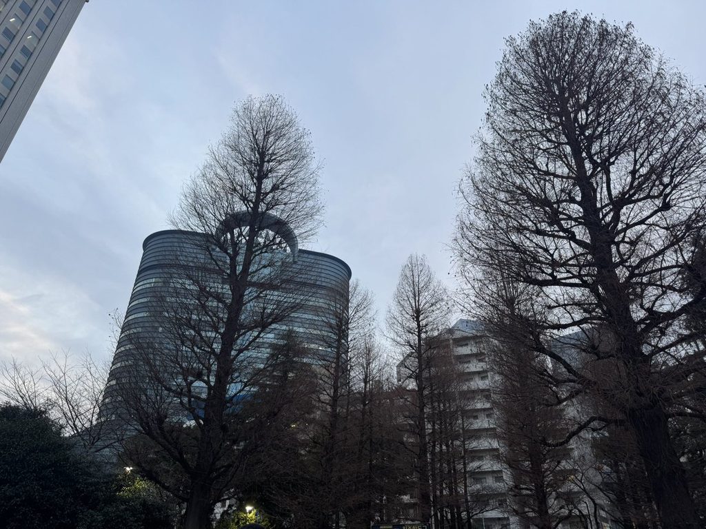 冬枯れの木立と、その向こうのビル