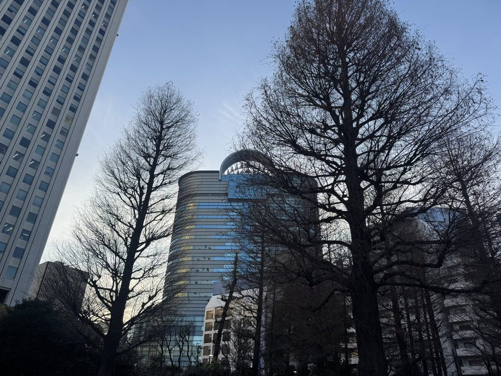 夕暮れの木立とビル