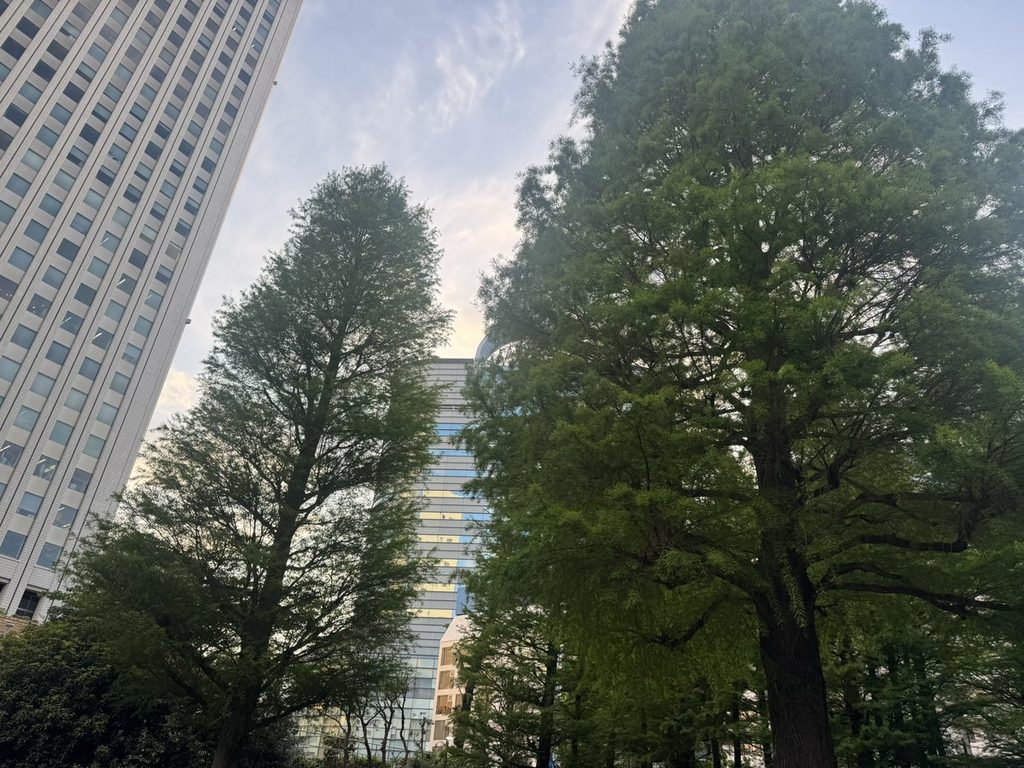 新緑の木立と高層ビル