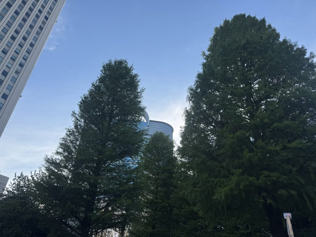 青空と緑の木立