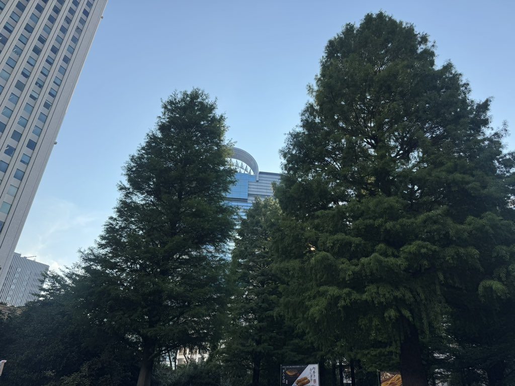 青空と木立