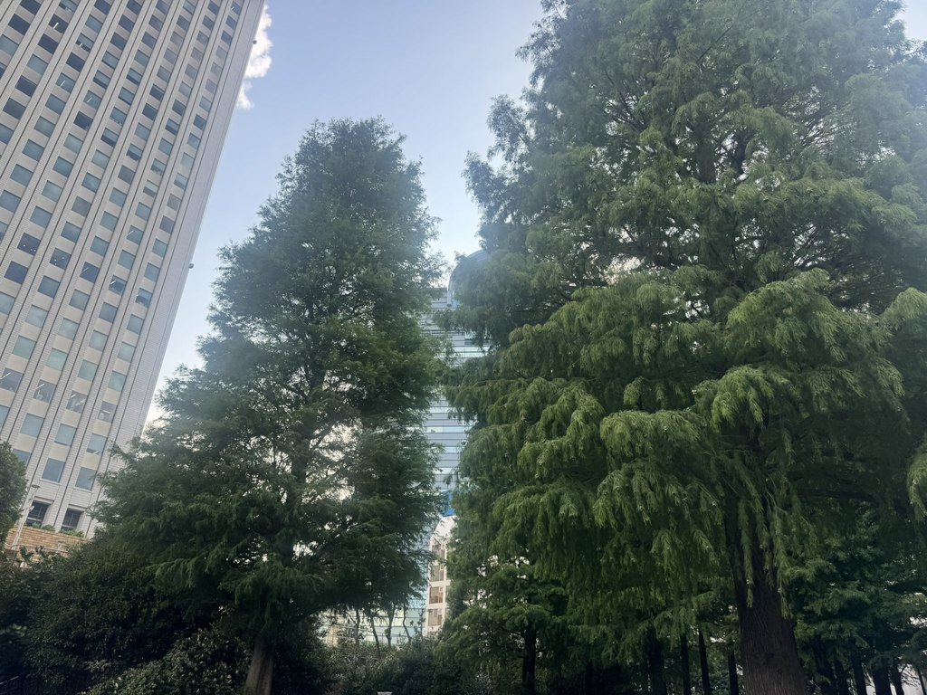 東池袋中央公園の大きな木々と、その向こうに見える高層ビル