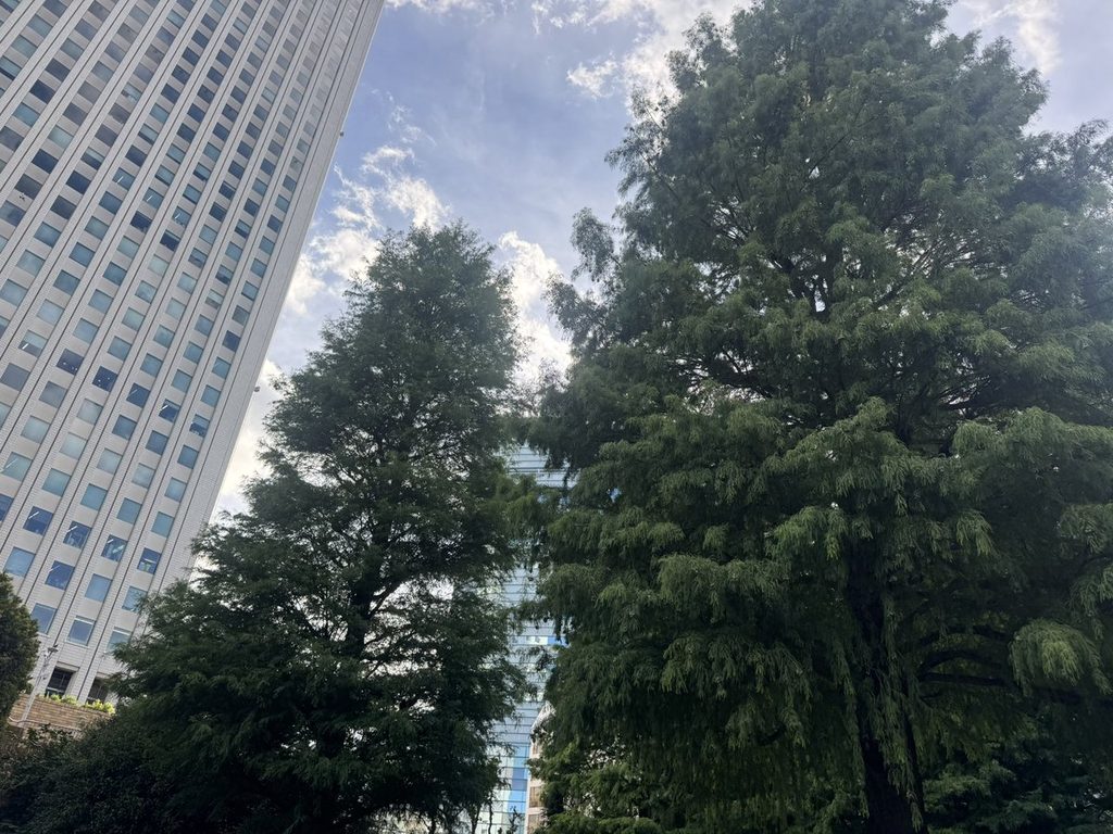 東池袋中央公園の木立と、その向こうに見える高層ビル、夏の青空